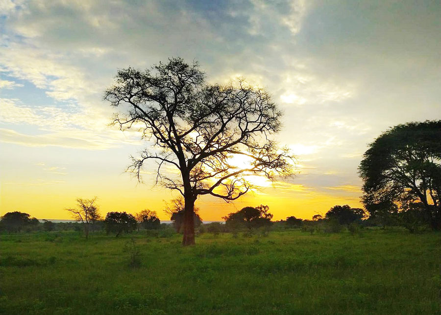 Zambia